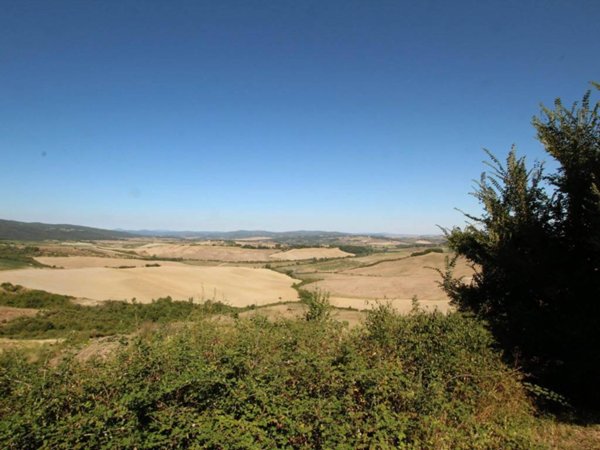 negozio in vendita a Montalcino