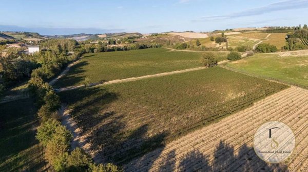 terreno agricolo in vendita a Montalcino in zona Torrenieri