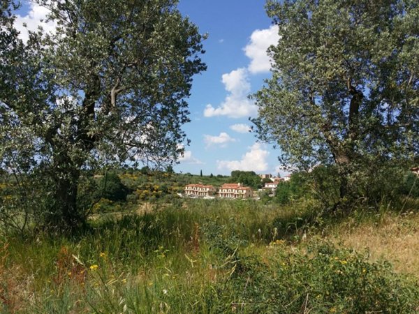 casa indipendente in vendita a Montalcino in zona Montisi