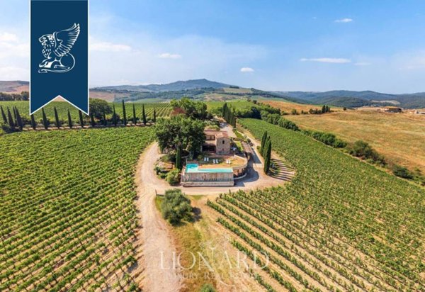 azienda agricola in vendita a Montalcino