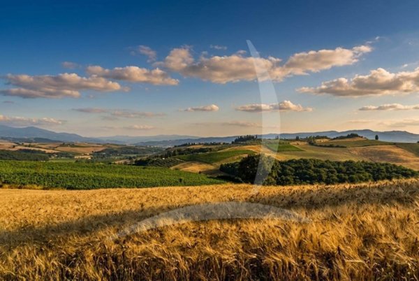 casa indipendente in vendita a Montalcino