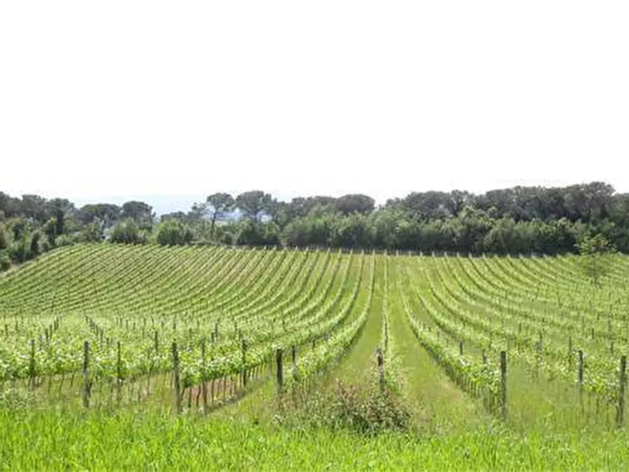 locale commerciale in vendita a Montalcino