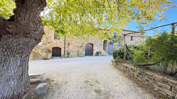 azienda agricola in vendita a Montalcino