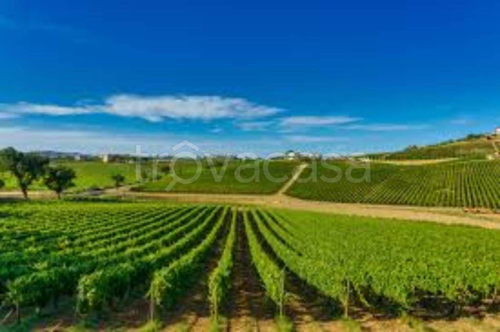 ufficio in vendita a Montalcino