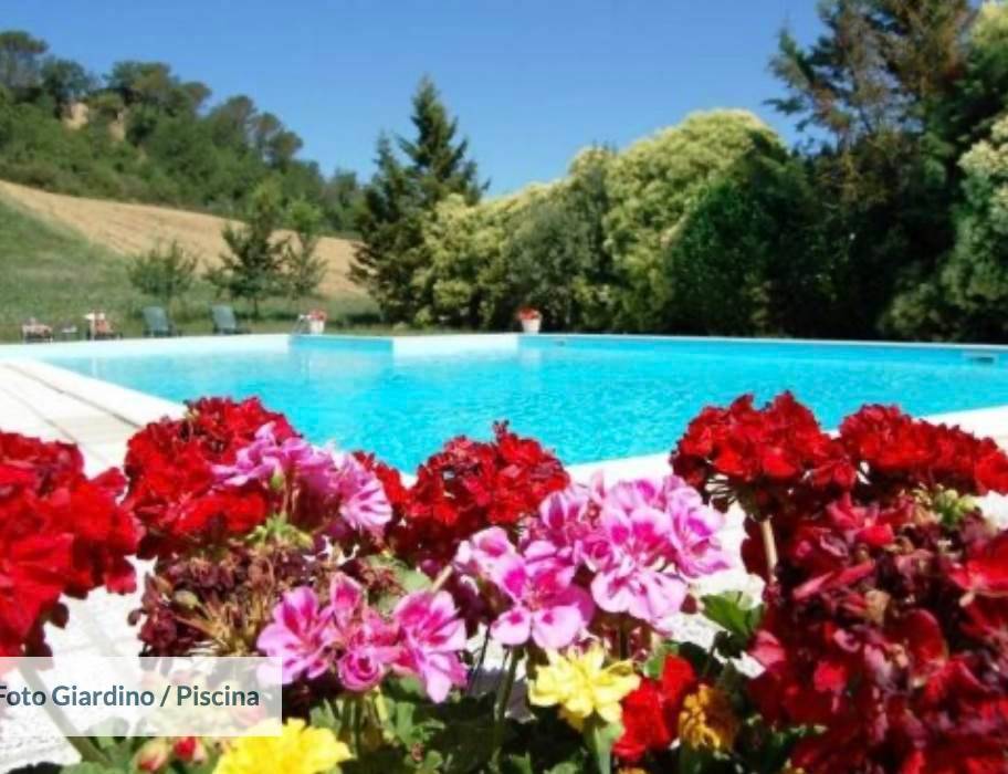 casa indipendente in vendita a Montalcino