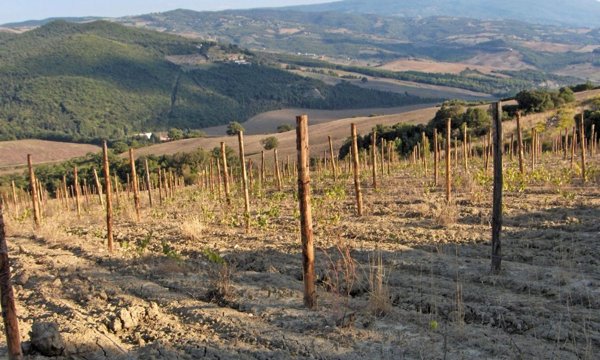 casale in vendita a Montalcino