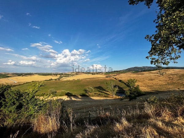 casale in vendita a Montalcino
