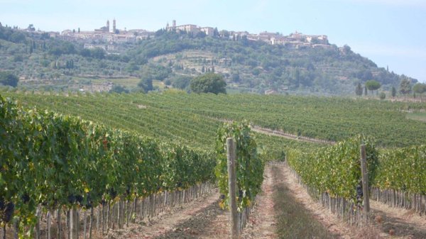 casa indipendente in vendita a Montalcino
