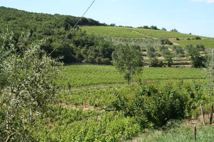 casa indipendente in vendita a Montalcino