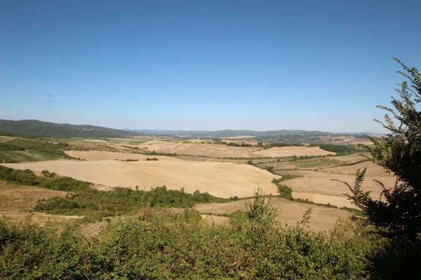 terreno agricolo in vendita a Montalcino