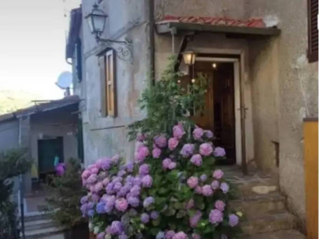 appartamento in vendita ad Arcidosso in zona Le Macchie