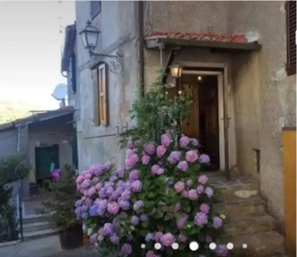 appartamento in vendita ad Arcidosso