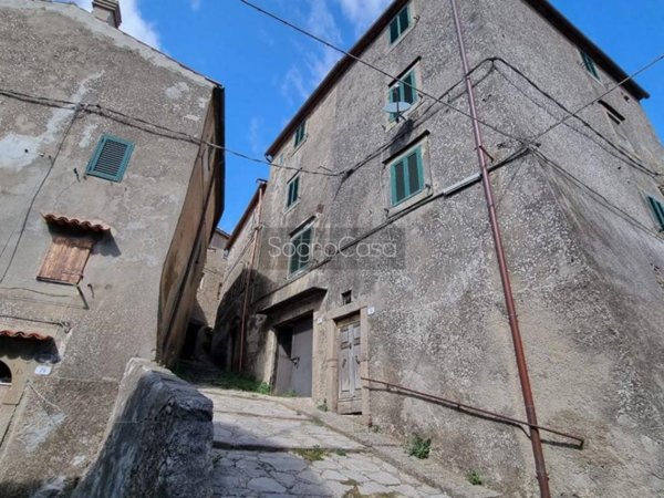 casa indipendente in vendita ad Arcidosso in zona Montelaterone