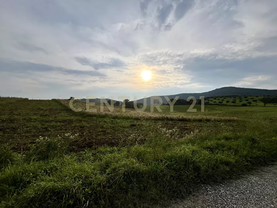 terreno agricolo in vendita ad Arcidosso