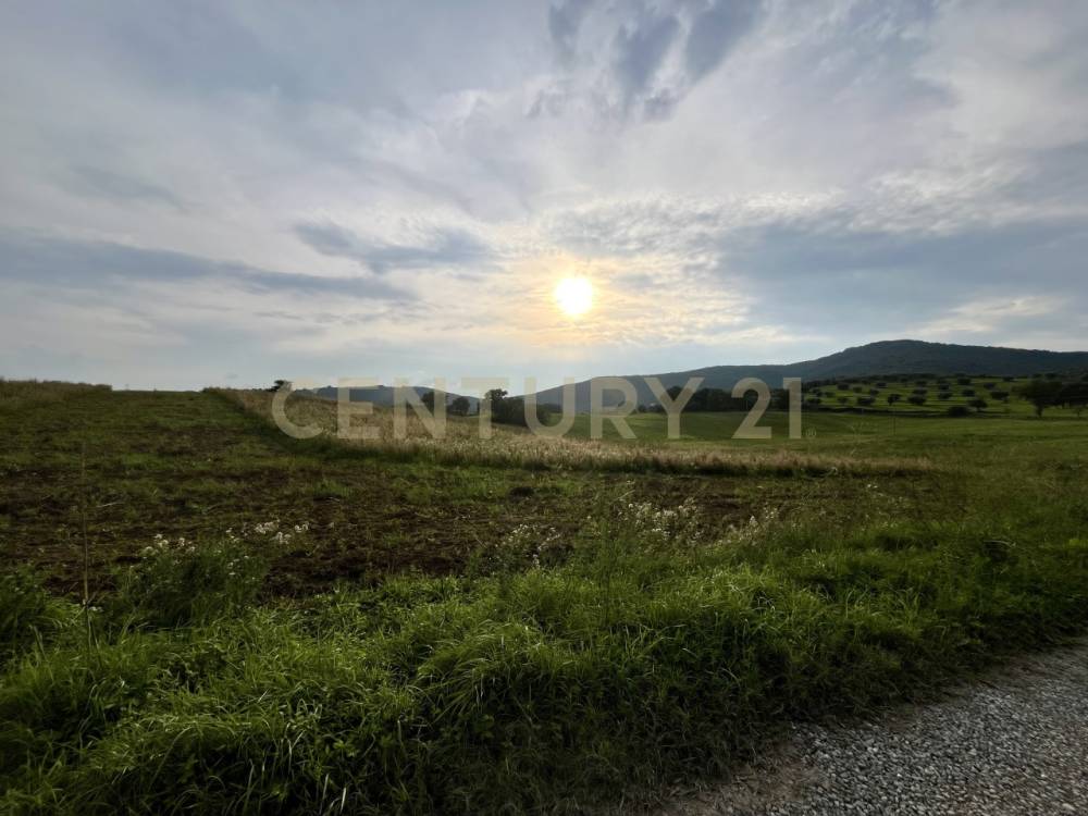terreno agricolo in vendita ad Arcidosso