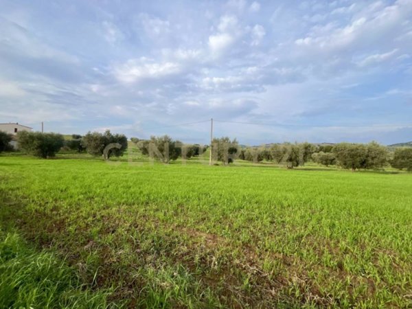 terreno agricolo in vendita ad Arcidosso