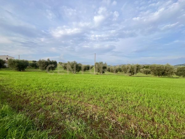 appartamento in vendita ad Arcidosso