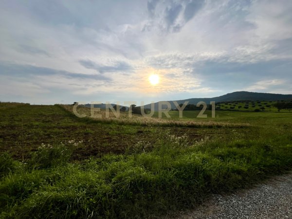 terreno agricolo in vendita ad Arcidosso