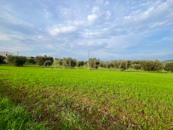 terreno agricolo in vendita ad Arcidosso