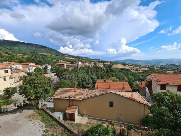 appartamento in vendita ad Arcidosso