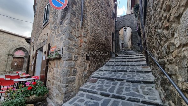 casa indipendente in vendita ad Arcidosso