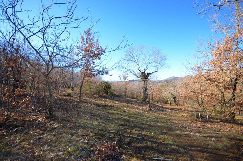 terreno agricolo in vendita ad Arcidosso