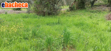 appartamento in vendita ad Arcidosso in zona San Lorenzo
