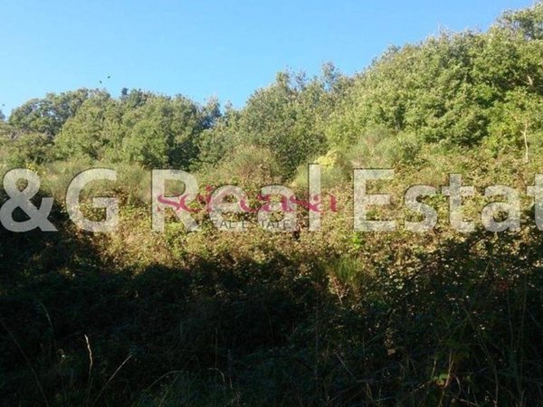 terreno agricolo in vendita ad Arcidosso in zona Montelaterone