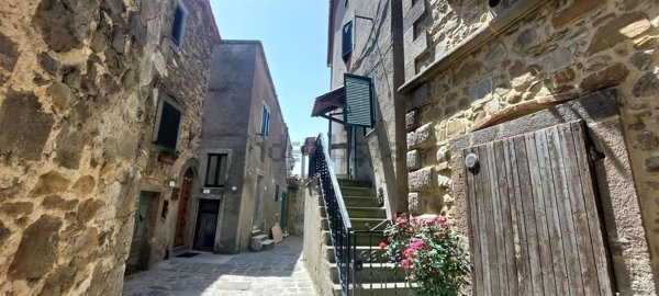 casa indipendente in vendita ad Arcidosso in zona Montelaterone