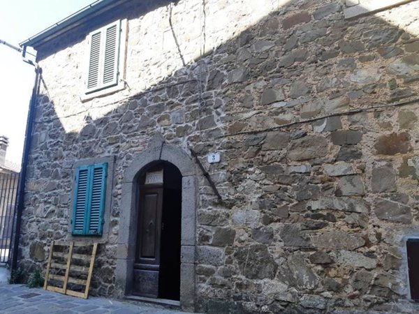 casa indipendente in vendita ad Arcidosso in zona Montelaterone