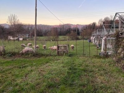 appartamento in vendita ad Arcidosso