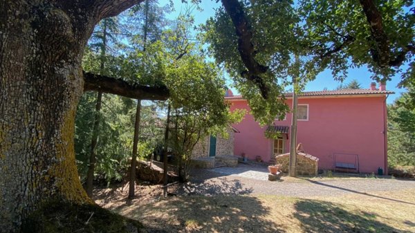 casa indipendente in vendita ad Arcidosso