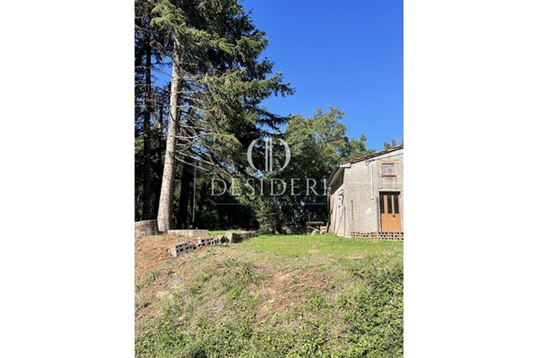 rudere in vendita ad Arcidosso in zona Le Macchie