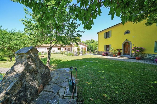 esavano in vendita ad Arcidosso