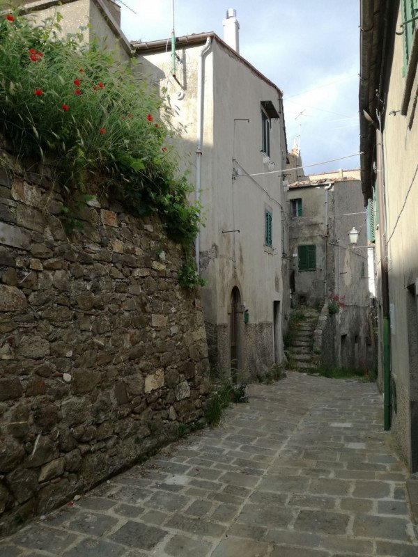 appartamento in vendita ad Arcidosso