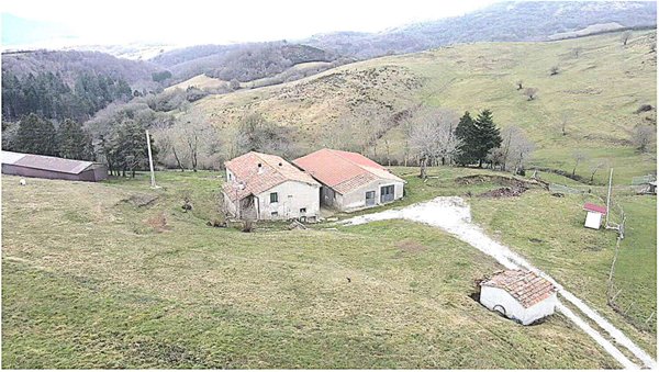 azienda agricola in vendita ad Arcidosso in zona Zancona