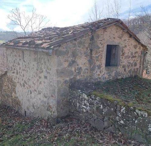 terreno agricolo in vendita ad Arcidosso in zona Salaiola