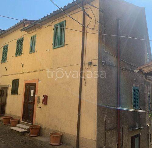 casa indipendente in vendita ad Arcidosso