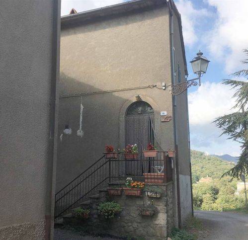 casa semindipendente in vendita ad Arcidosso