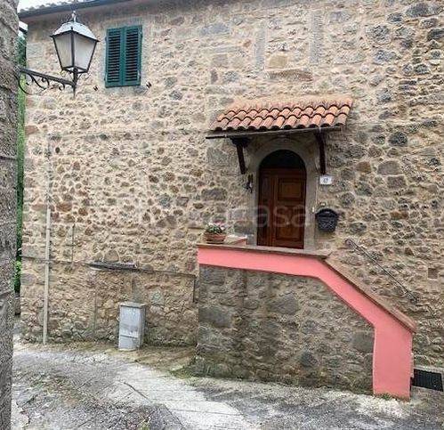 casa indipendente in vendita ad Arcidosso