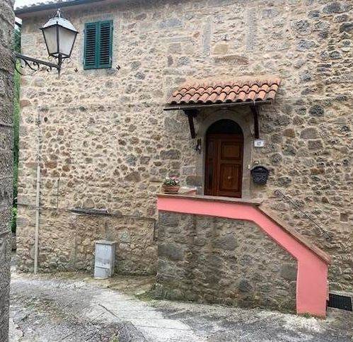 casa indipendente in vendita ad Arcidosso