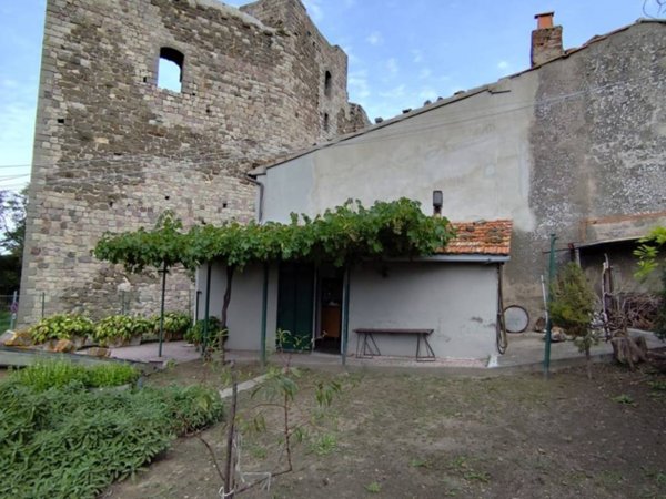 casa indipendente in vendita ad Arcidosso in zona Montelaterone