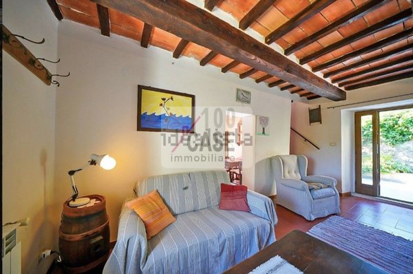 casa indipendente in vendita ad Arcidosso in zona Salaiola