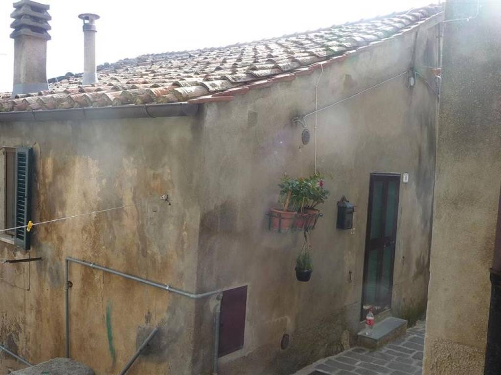 casa indipendente in vendita ad Arcidosso in zona Montelaterone