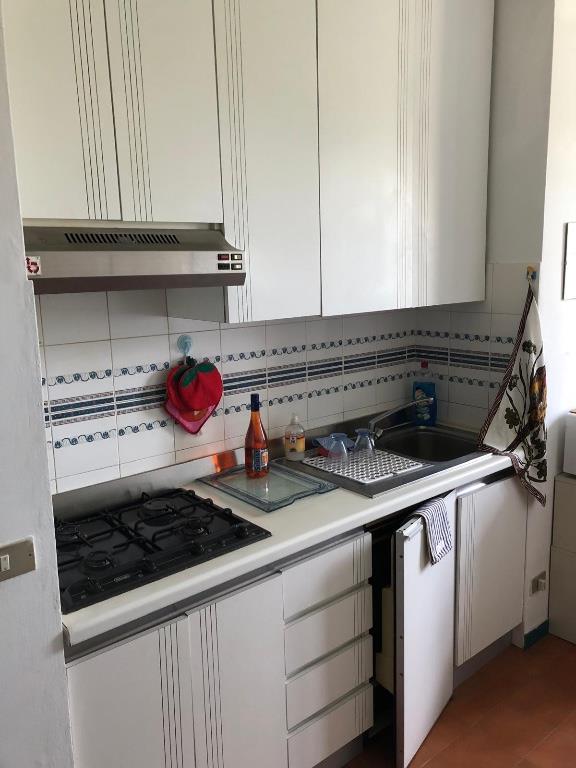 appartamento in vendita ad Arcidosso