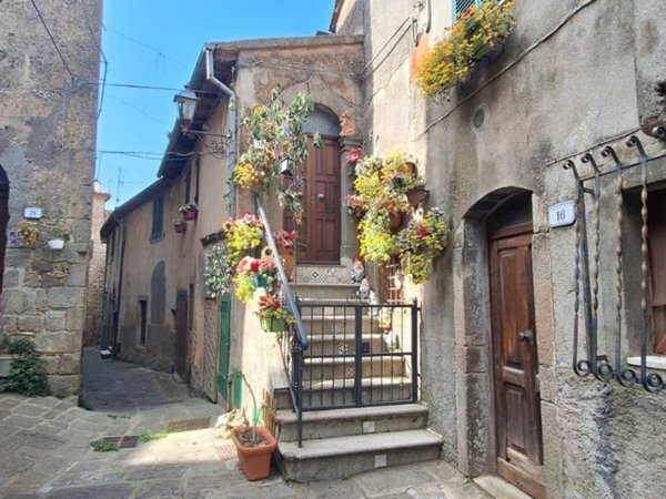 casa indipendente in vendita ad Arcidosso in zona Montelaterone