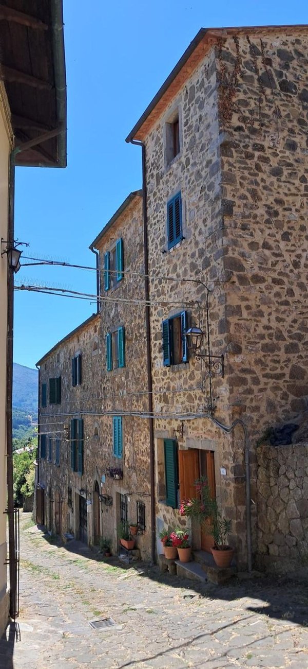 casa indipendente in vendita ad Arcidosso in zona Montelaterone