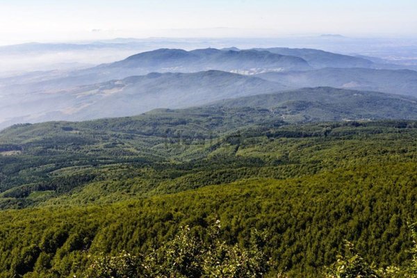 terreno agricolo in vendita ad Arcidosso