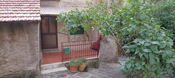 pentavano in vendita ad Arcidosso