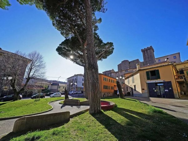 appartamento in vendita ad Arcidosso